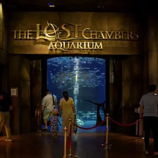 التنقل إلى The Lost Chambers Aquarium