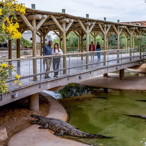 Navigating to the Crocodile Park Dubai