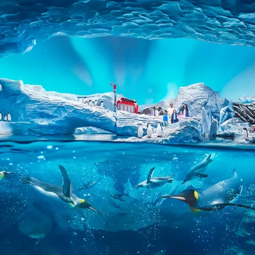التنقل إلى SeaWorld Abu Dhabi