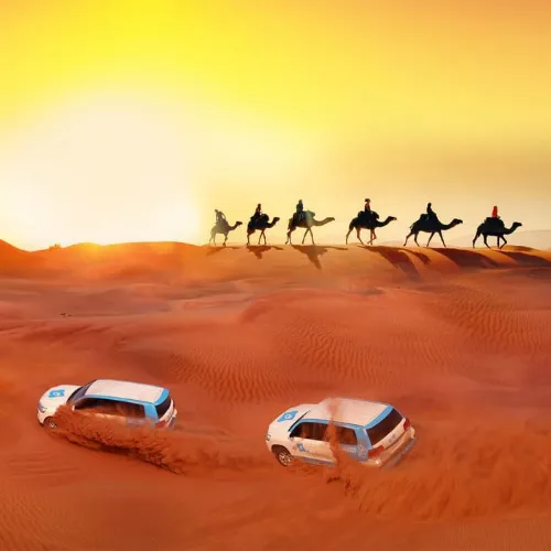 التنقل إلى Desert Safari in Abu Dhabi