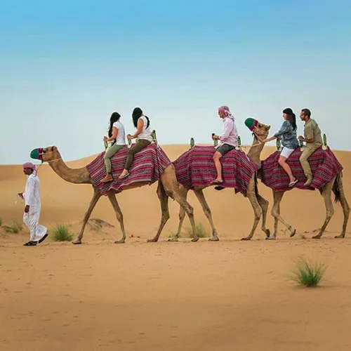 التنقل إلى Camel Desert Ride