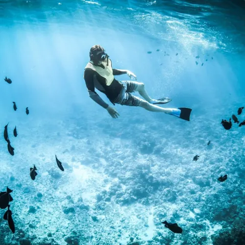 التنقل إلى Snorkeling at Fujairah
