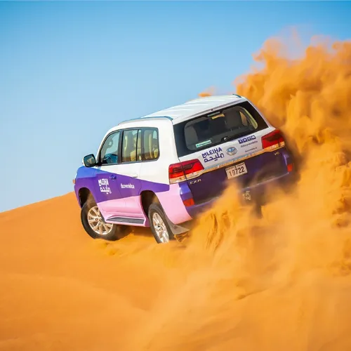 التنقل إلى Mleiha Desert Discovery | Fossil Rock & Camel Rock Safari