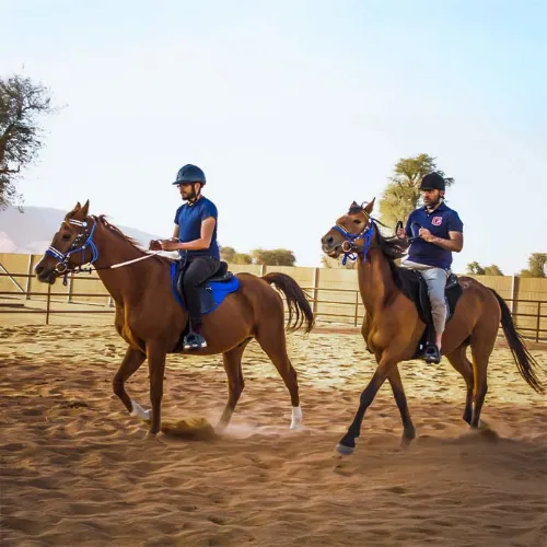 التنقل إلى Mleiha Equestrian Adventures