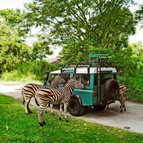 Переход к 7D/6N Bali Family Package - Adventure Parks & Cultural Tours Indonesia 2025