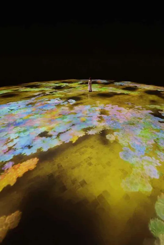 teamLab Phenomena Abu Dhabi: Digital Art That Responds to You