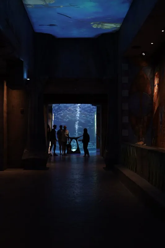 The Lost Chamber Aquarium