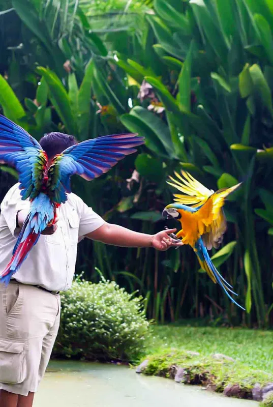 7D/6N Bali Family Package - Adventure Parks & Cultural Tours Indonesia 2025