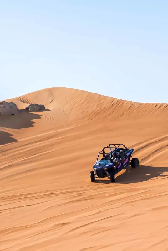 Mleiha Desert Discovery | Fossil Rock & Camel Rock Safari