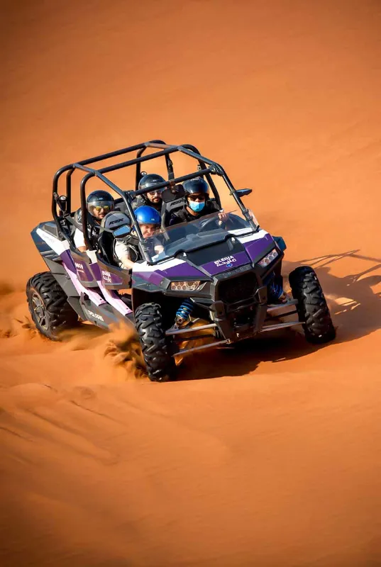 Mleiha Desert Discovery | Fossil Rock & Camel Rock Safari