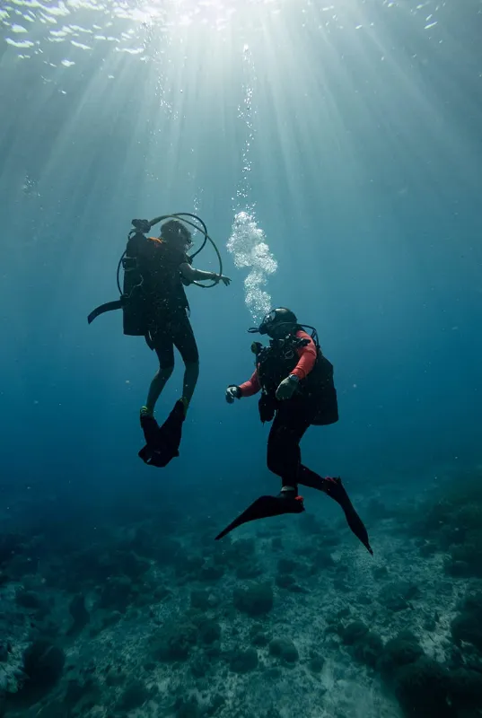 Snorkeling at Fujairah