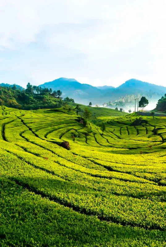7D/6N Family Package Jakarta Puncak Bandung - Cultural Heritage & Nature Tour Indonesia 2025