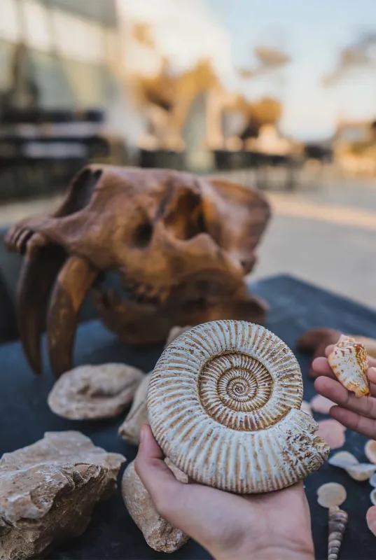Mleiha Adventures: For History Buffs & Thrill-Seekers