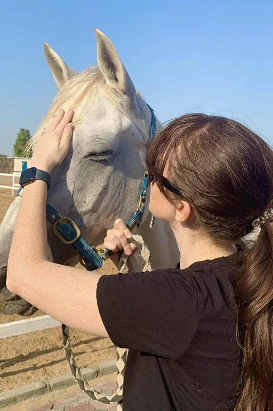 Al Madam 2 Stables , Horse Riding UAE