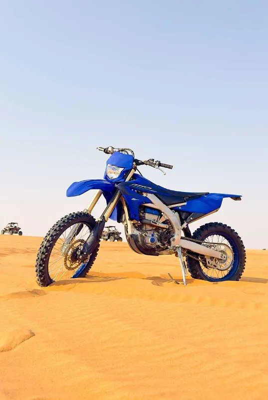 Desert Buggy Safari
