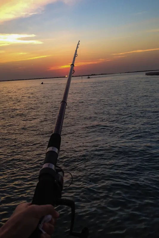 Fishing Trip in Dubai