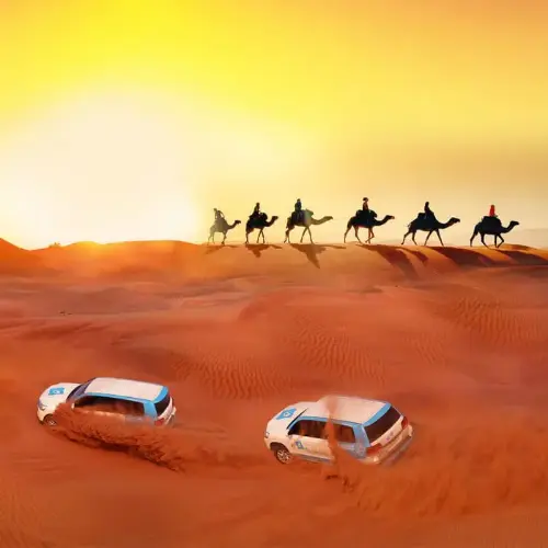 Navigating to the Desert Safari in Abu Dhabi