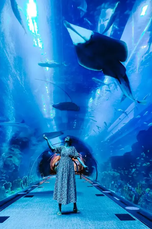 Dubai Aquarium & Underwater Zoo