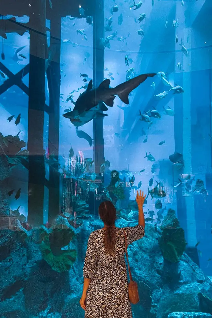 Dubai Aquarium & Underwater Zoo
