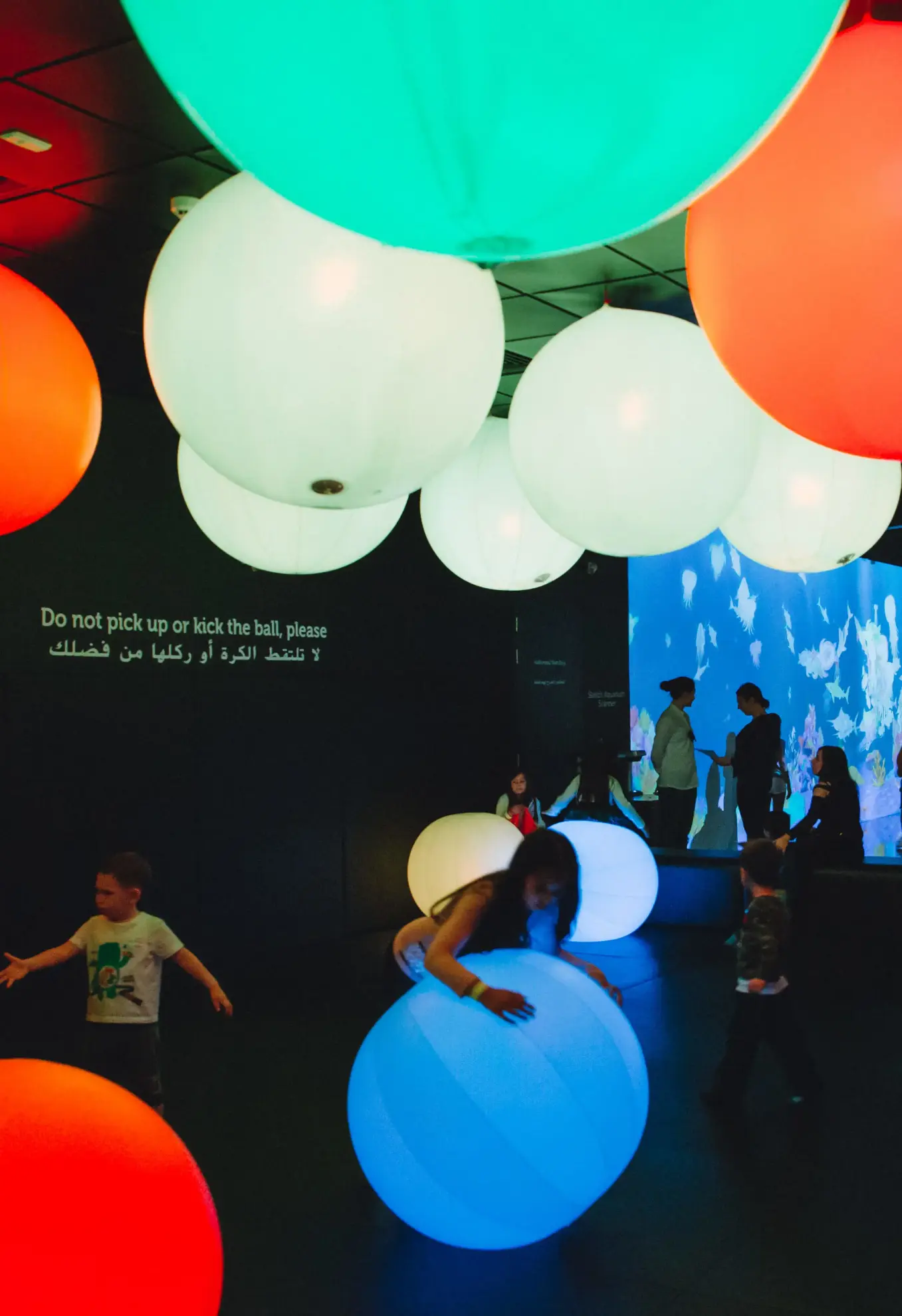 OliOli Interactive Play Centre Duba