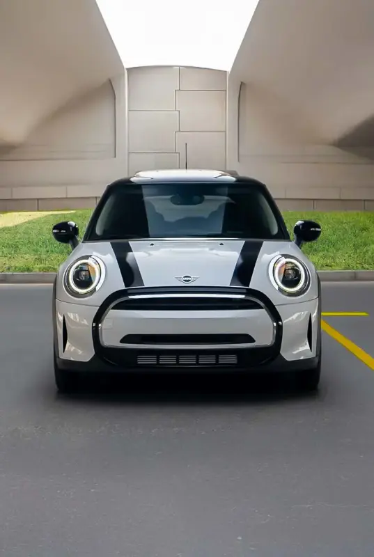 Stylish Mini Cooper Rentals: Compact Fun for City Adventures