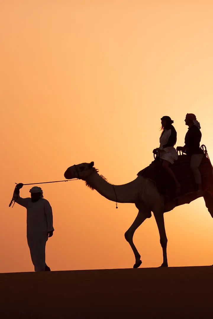 Platinum Desert Safari