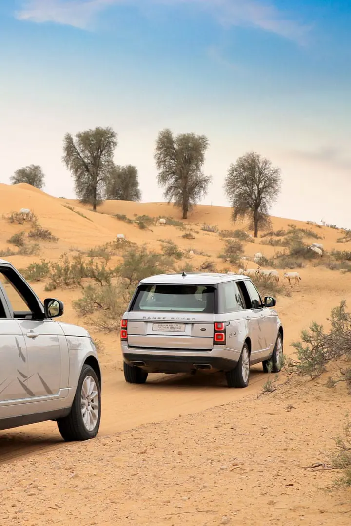 Platinum Desert Safari