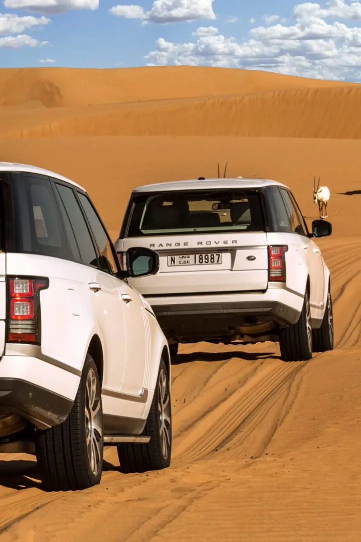 Conservation Drive & Breakfast at Al Maha