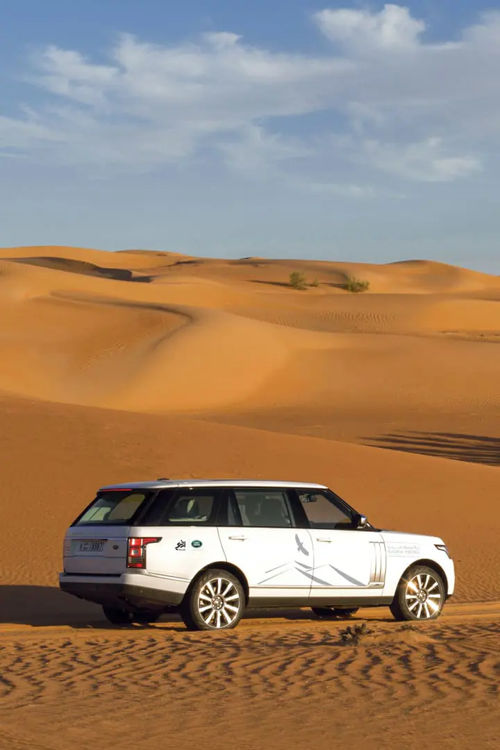 Conservation Drive & Breakfast at Al Maha