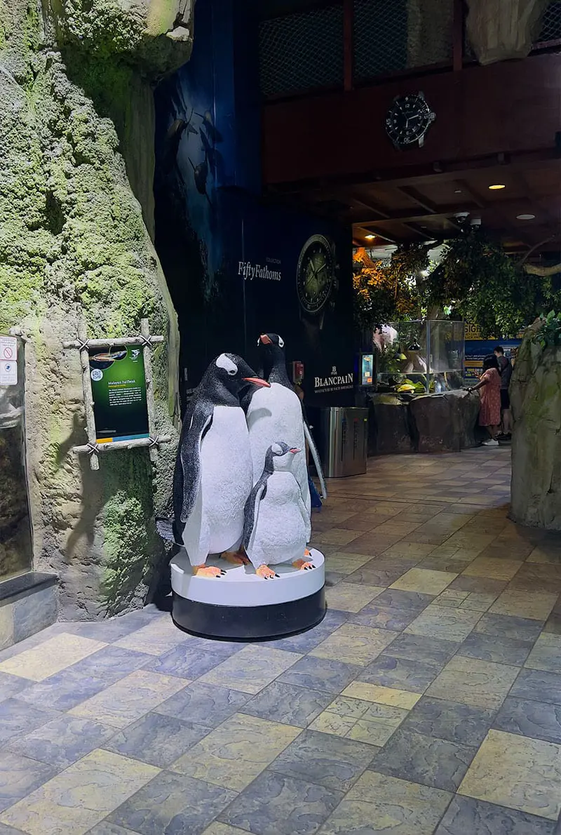 Dubai Aquarium Penguin Cove