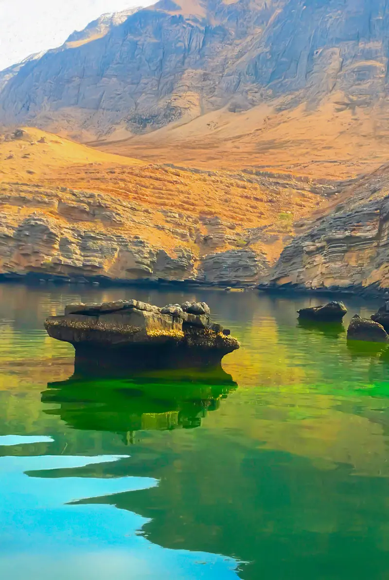 Khasab Musandam: Historic Telegraph Island Dhow Cruise & Fjords Explorer with Dolphin Watching