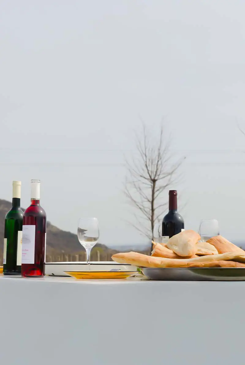 Georgia Winter Escape 2025: 3-Night Budget Tour to Tbilisi, Kakheti Vineyards & Gudauri Snowscapes