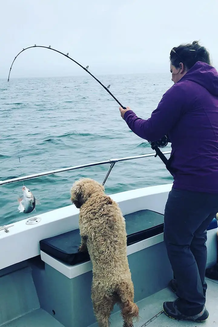 Fishing Trip in Dubai