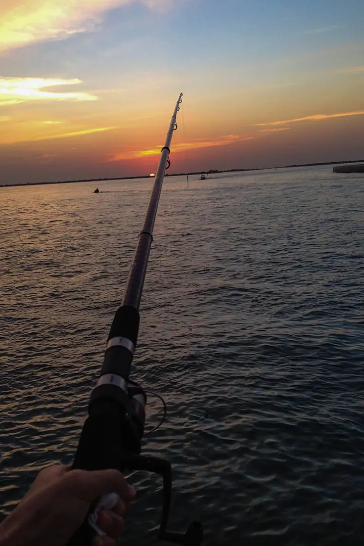 Fishing Trip in Dubai