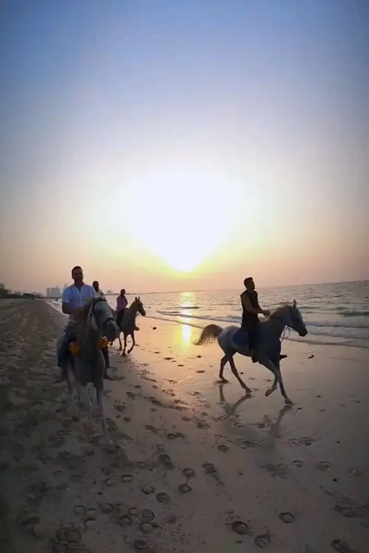 SQ7 Stables , Horse Riding Dubai