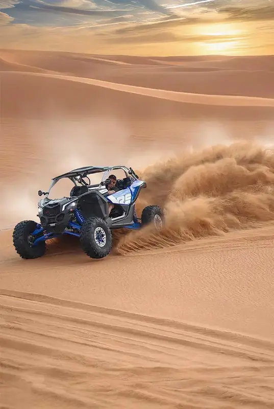 Desert Buggy Safari