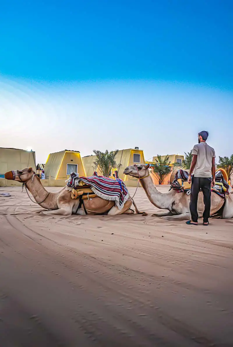 Evening Desert Safari With Quadbike