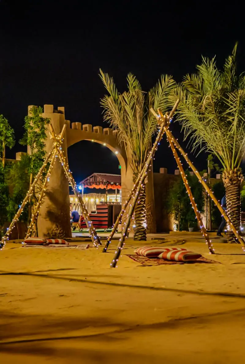 VIP Premium Safari with BBQ