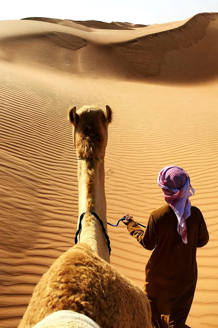 Camel Desert Ride