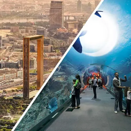 Dubai Frame Tickets + Dubai Aquarium & Underwater Zoo