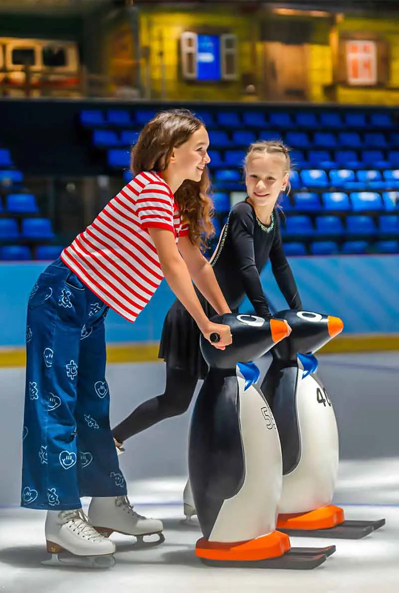 Dubai Ice Rink