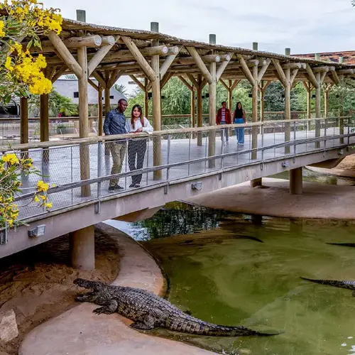 Переход к Crocodile Park Dubai