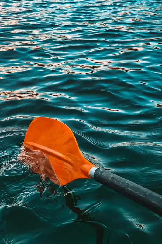 Stand Up Paddle Board by Water Adventure