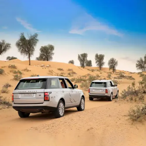 Navigating to the Conservation Drive & Breakfast at Al Maha