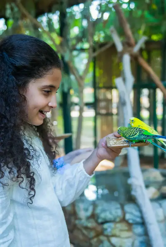 Al Ain Zoo