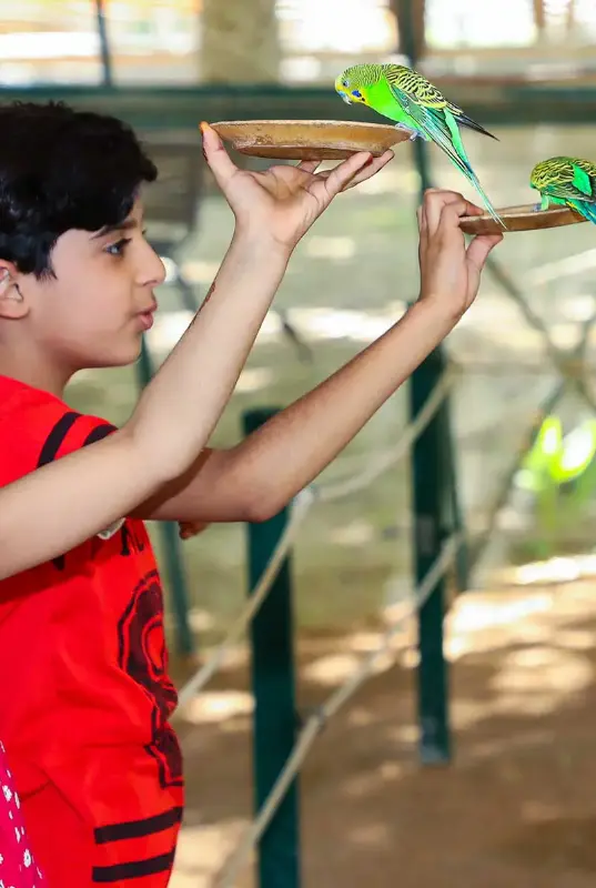 Al Ain Zoo