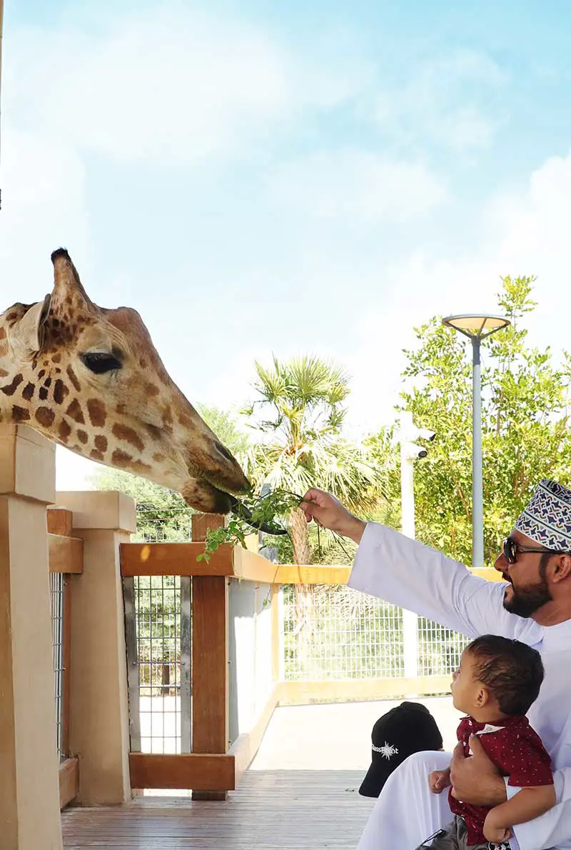 Al Ain Zoo