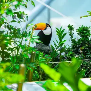 Переход к Parks