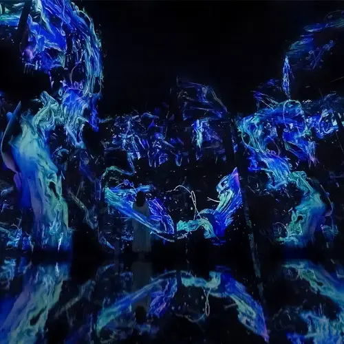 التنقل إلى teamLab Phenomena Abu Dhabi: Digital Art That Responds to You