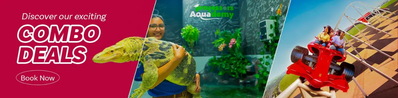 Добро пожаловать в DoJoin